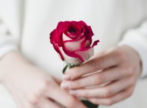 Curso: El camino De la Rosa